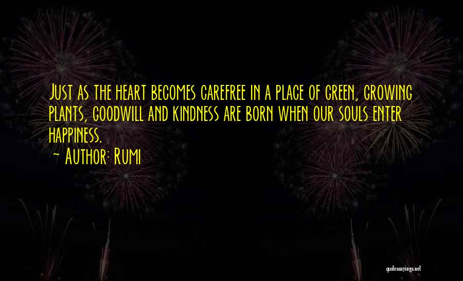 Plants And Happiness Quotes By Rumi