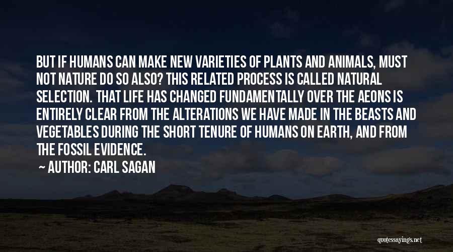 Plants And Humans Quotes By Carl Sagan