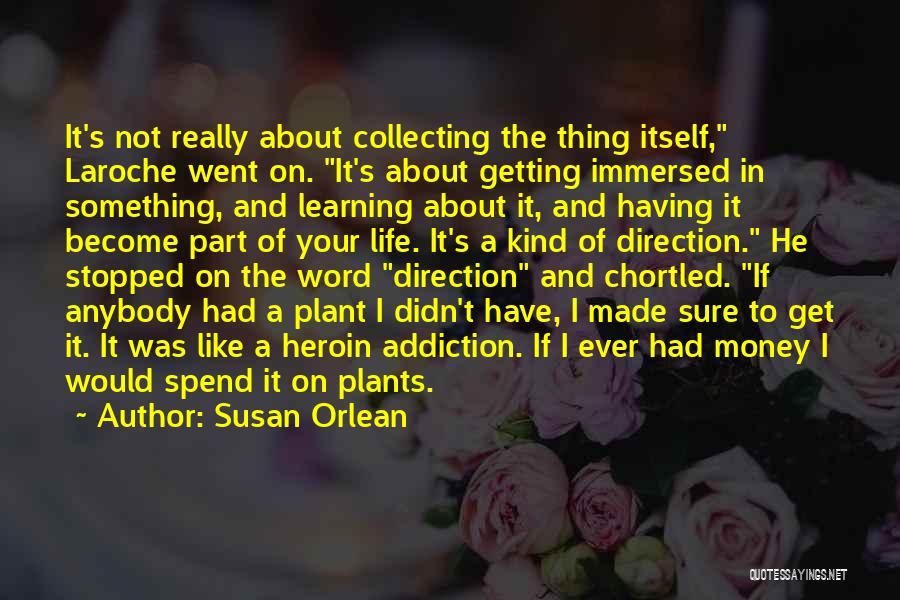 Plants And Learning Quotes By Susan Orlean