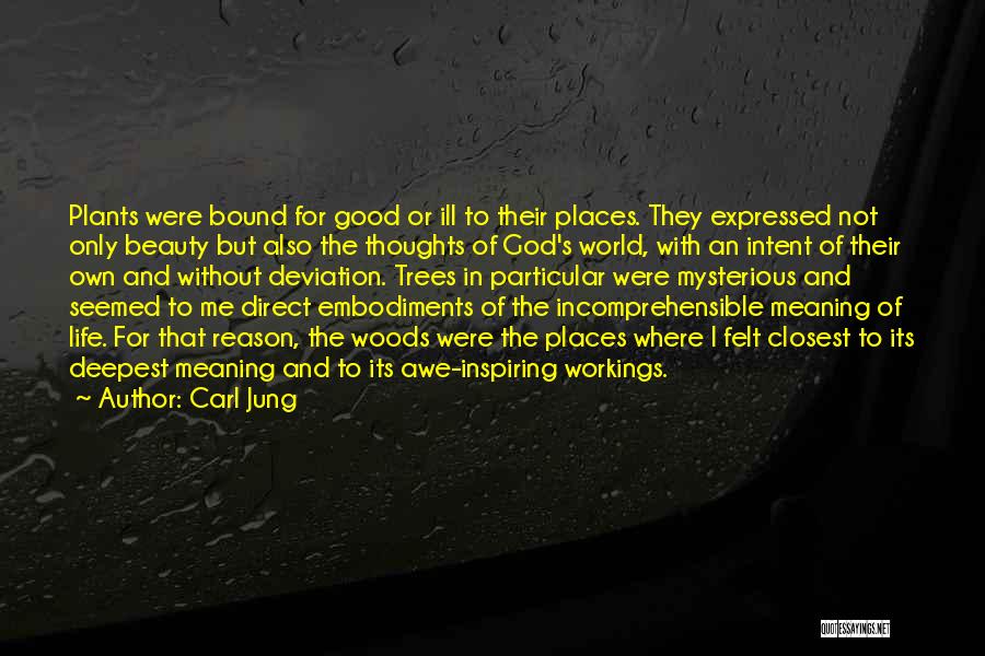 Plants And Life Quotes By Carl Jung