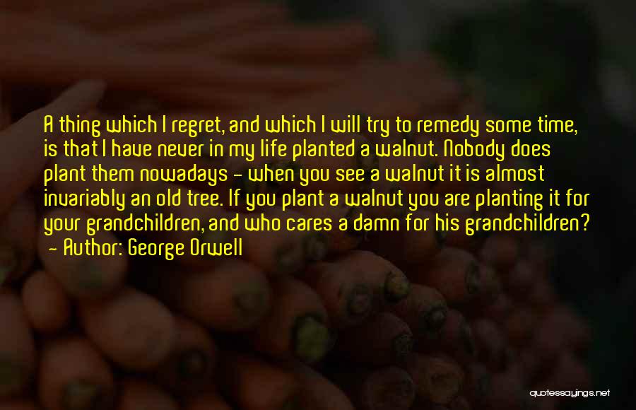 Plants And Life Quotes By George Orwell