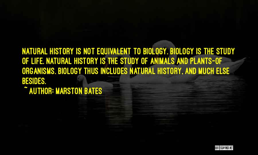 Plants And Life Quotes By Marston Bates