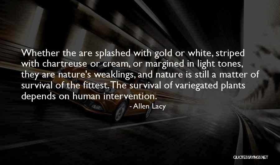 Plants And Nature Quotes By Allen Lacy Plants And Nature Quotes By Allen Lacy