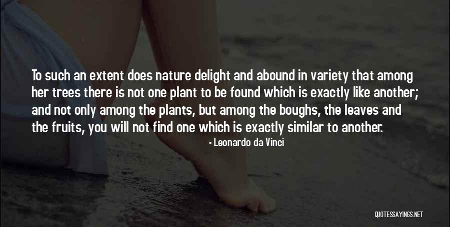 Plants And Nature Quotes By Leonardo Da Vinci Plants And Nature Quotes By Leonardo Da Vinci