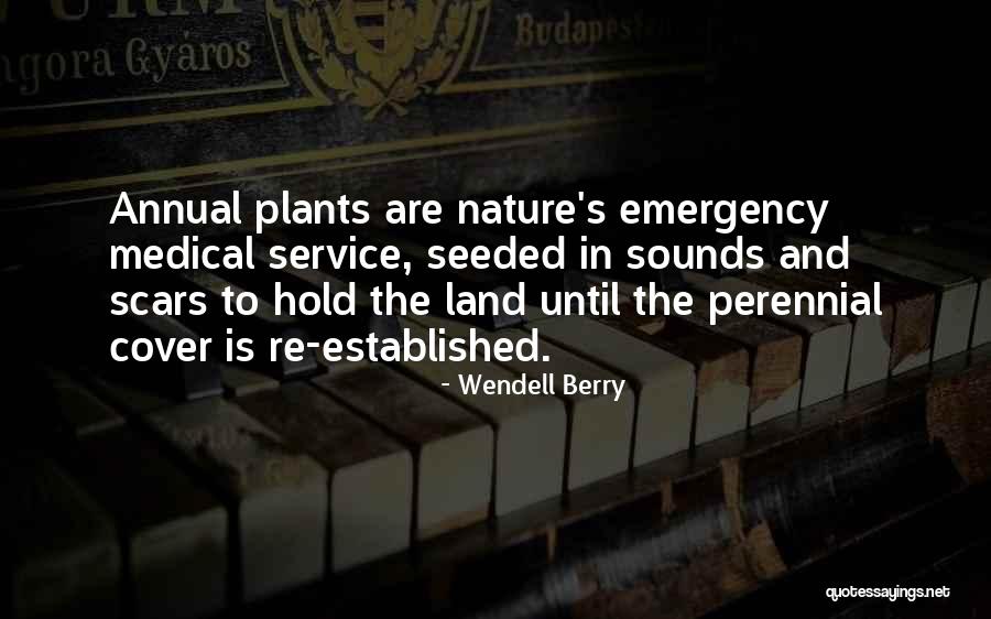 Plants And Nature Quotes By Wendell Berry Plants And Nature Quotes By Wendell Berry