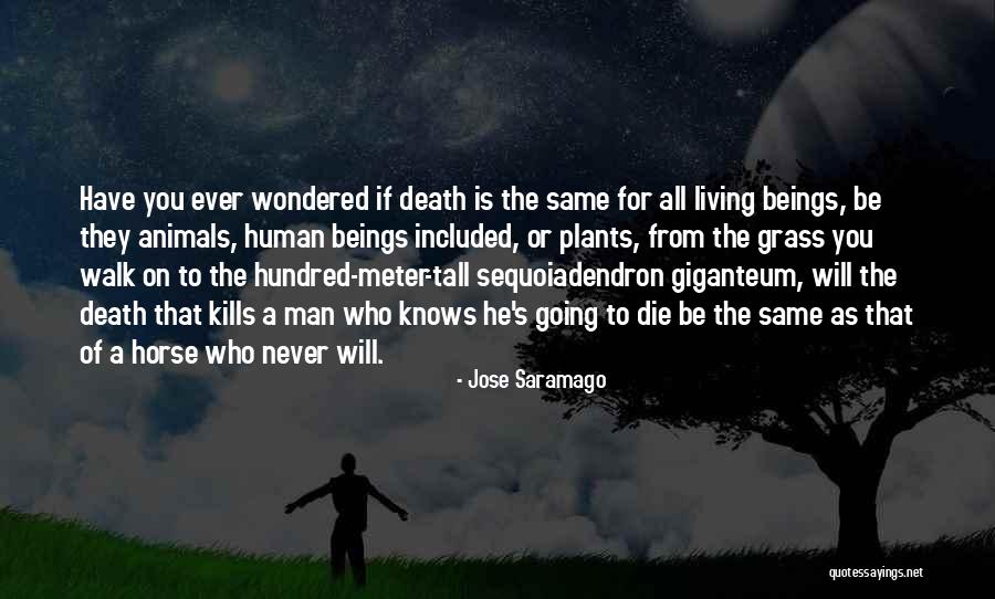 Plants Are Living Things Quotes By Jose Saramago Plants Are Living Things Quotes By Jose Saramago