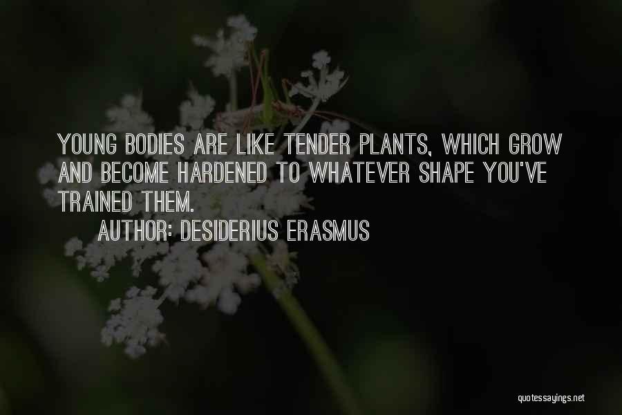Plants Quotes By Desiderius Erasmus