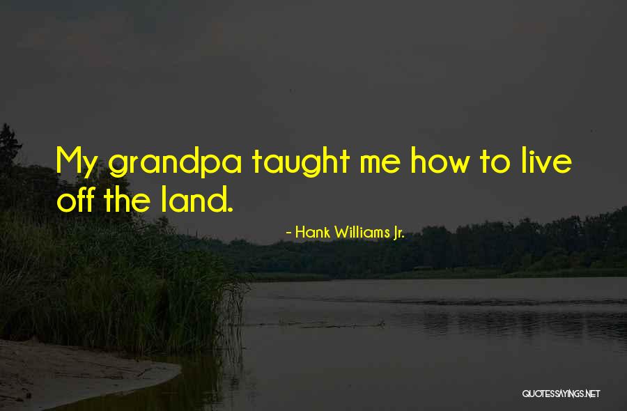Plasil Injection Quotes By Hank Williams Jr.