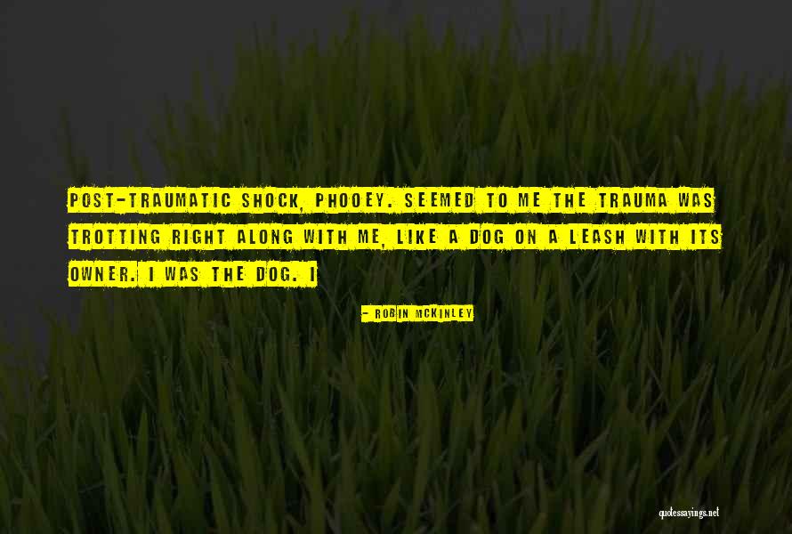 Plasterer Bees Quotes By Robin McKinley Plasterer Bees Quotes By Robin McKinley