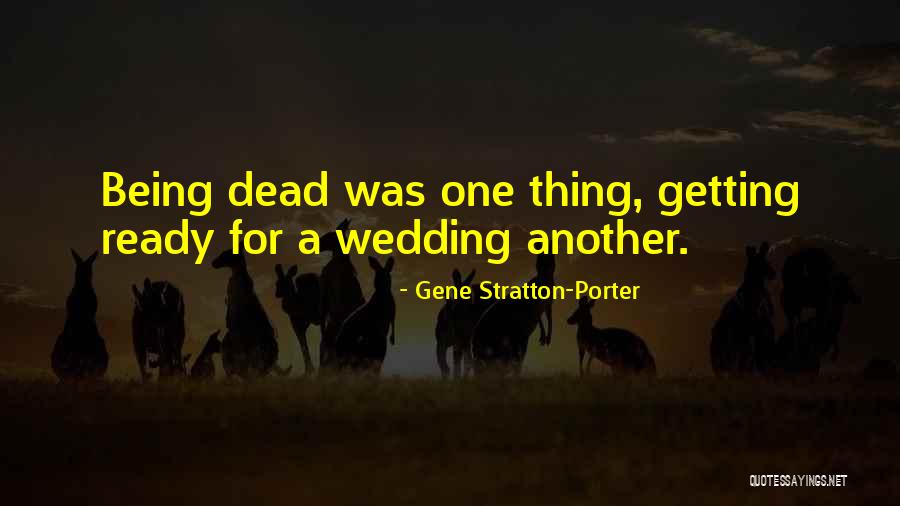 Plasterer Equipment Quotes By Gene Stratton-Porter Plasterer Equipment Quotes By Gene Stratton-Porter
