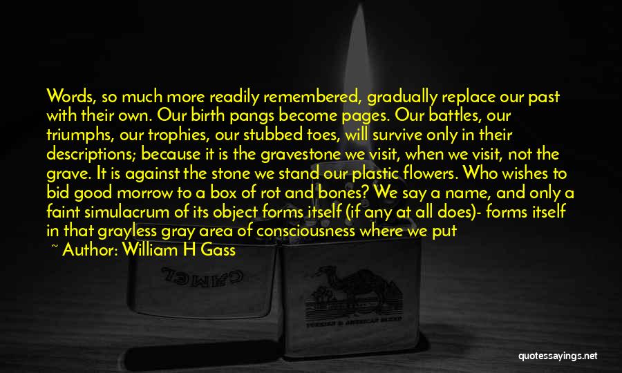 Plastic Flowers Quotes By William H Gass
