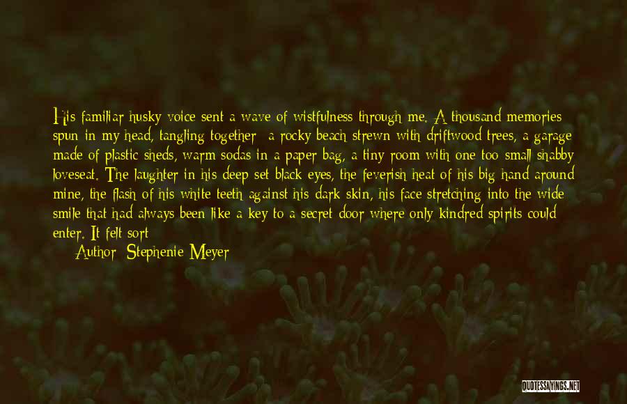 Plastic Memories Quotes By Stephenie Meyer