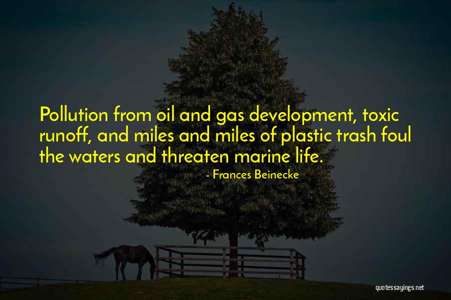 Plastic Pollution Quotes By Frances Beinecke