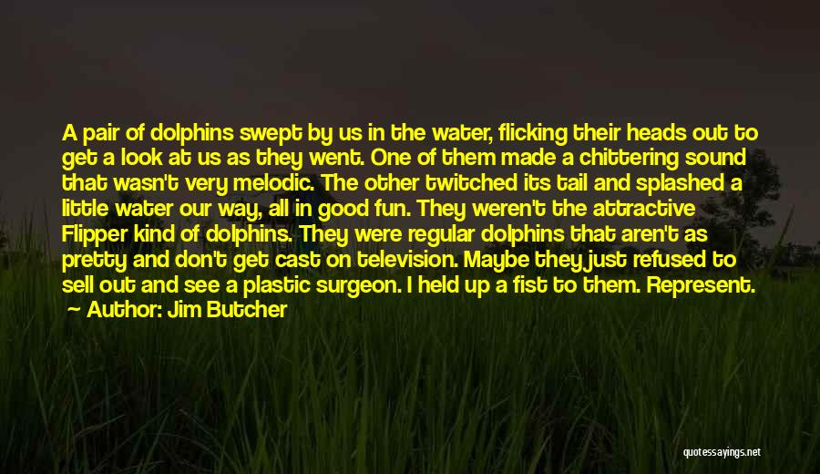Plastic Surgeon Quotes By Jim Butcher