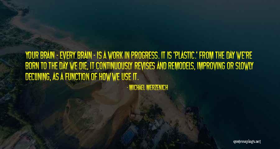 Plastic Use Quotes By Michael Merzenich Plastic Use Quotes By Michael Merzenich