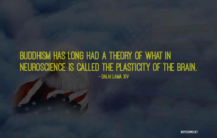 Plasticity In The Brain Quotes By Dalai Lama XIV Plasticity In The Brain Quotes By Dalai Lama XIV