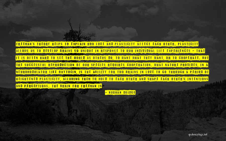 Plasticity In The Brain Quotes By Norman Doidge Plasticity In The Brain Quotes By Norman Doidge