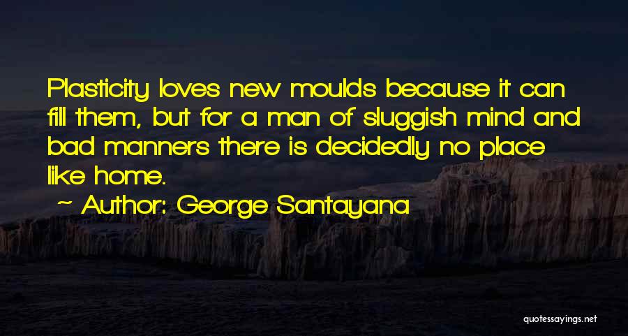 Plasticity Quotes By George Santayana