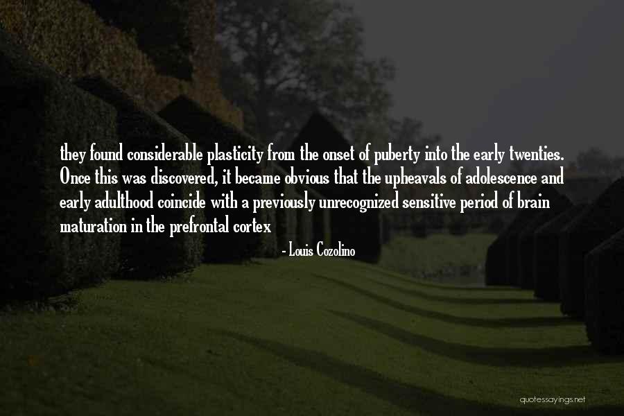 Plasticity Quotes By Louis Cozolino