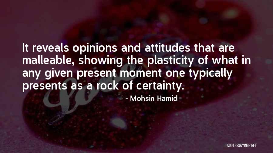 Plasticity Quotes By Mohsin Hamid