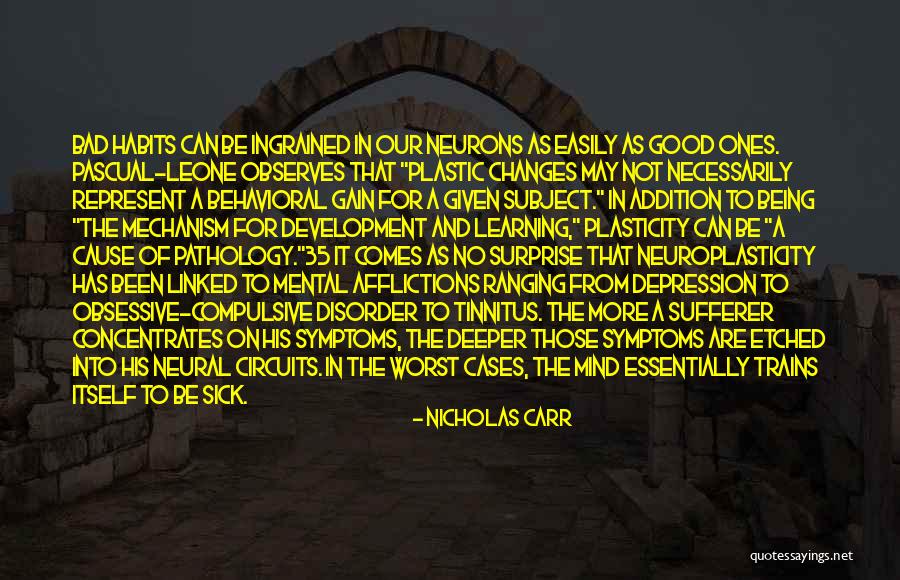 Plasticity Quotes By Nicholas Carr