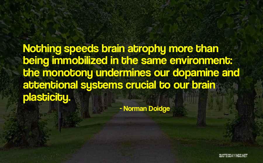 Plasticity Quotes By Norman Doidge