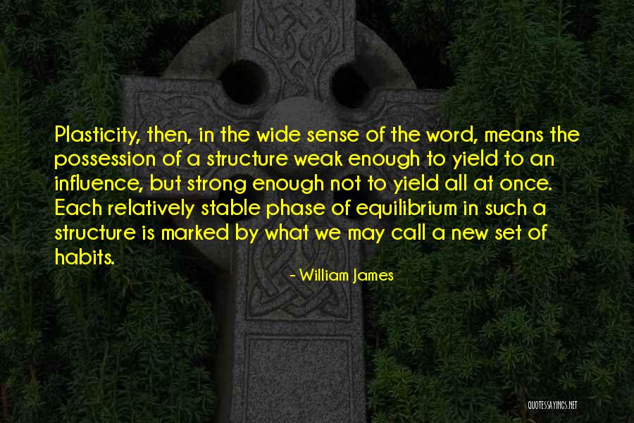 Plasticity Quotes By William James