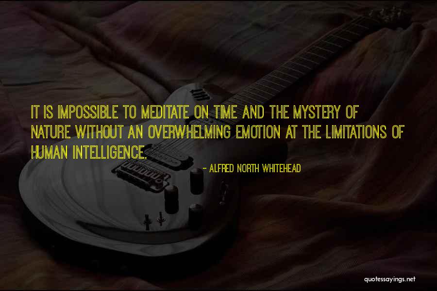 Plasticized Ointment Quotes By Alfred North Whitehead Plasticized Ointment Quotes By Alfred North Whitehead