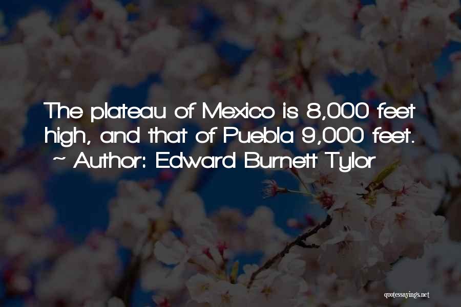 Plateau Quotes By Edward Burnett Tylor