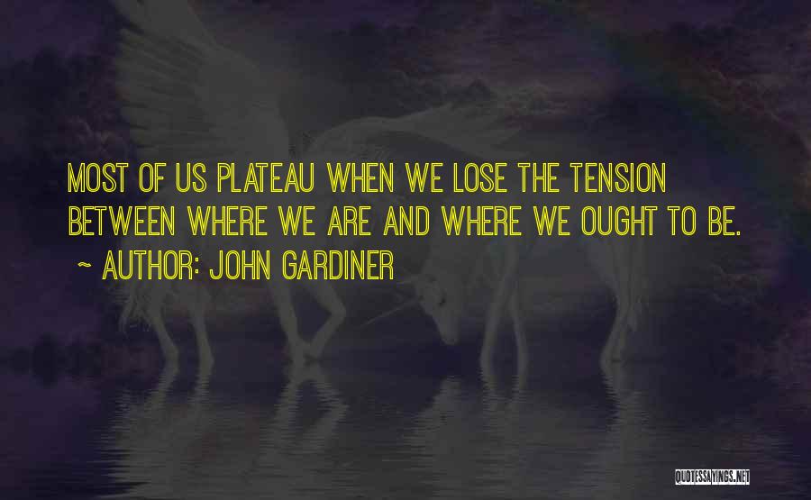 Plateau Quotes By John Gardiner