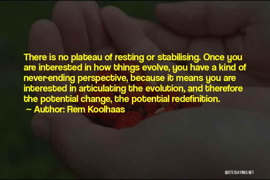 Plateau Quotes By Rem Koolhaas