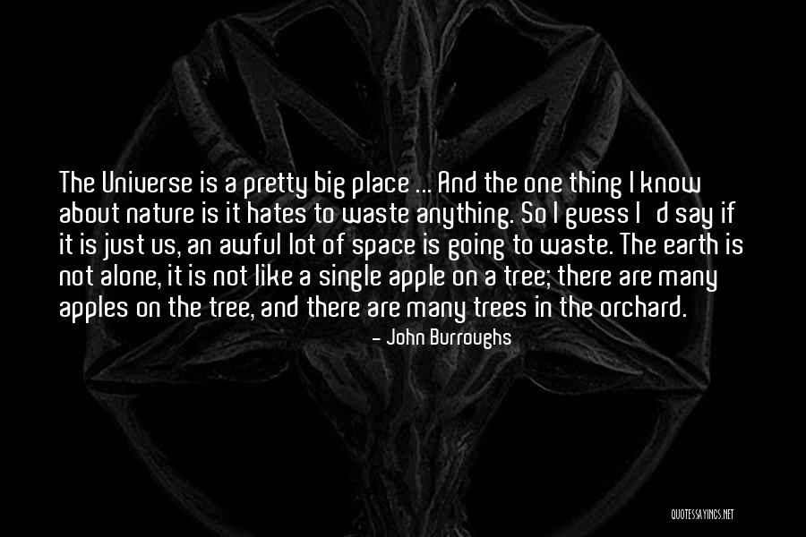 Plateauing During Dieting Quotes By John Burroughs Plateauing During Dieting Quotes By John Burroughs