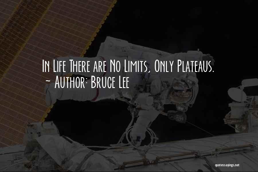 Plateaus Quotes By Bruce Lee