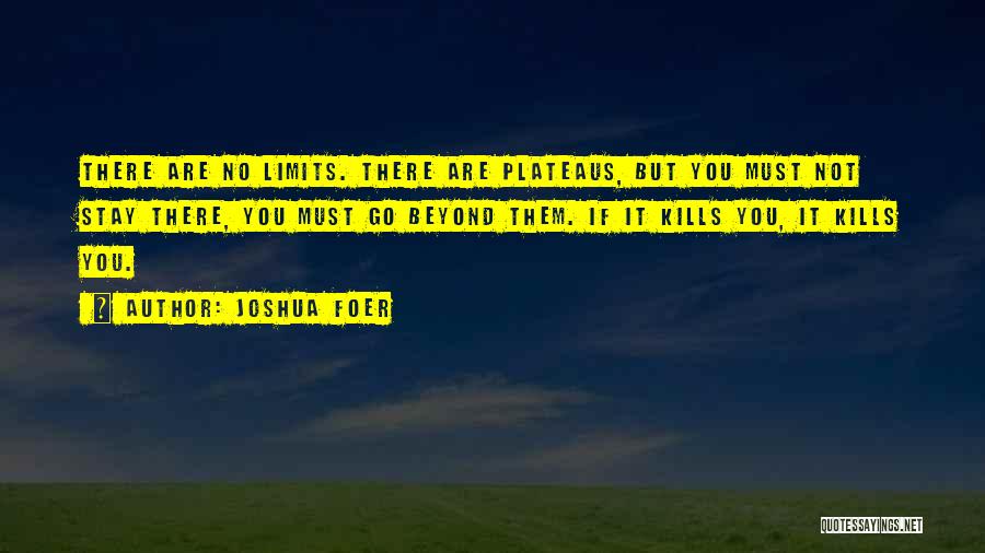 Plateaus Quotes By Joshua Foer
