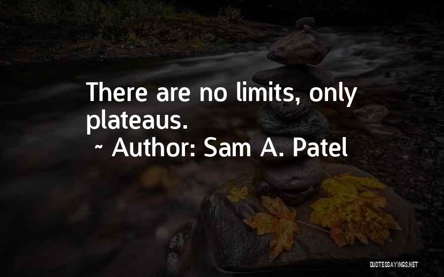 Plateaus Quotes By Sam A. Patel