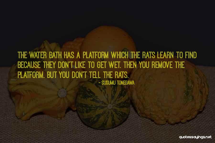 Platform Quotes By Susumu Tonegawa