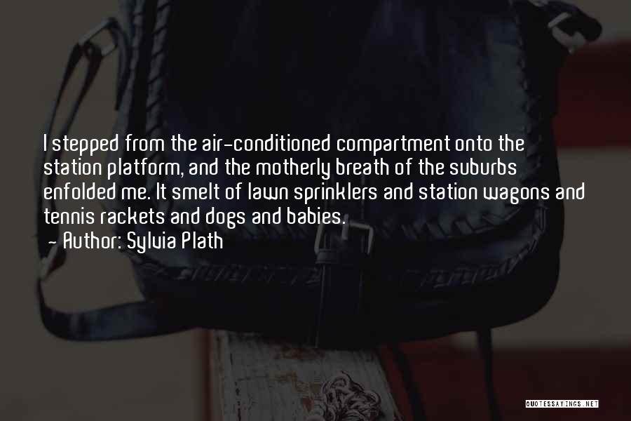 Platform Quotes By Sylvia Plath