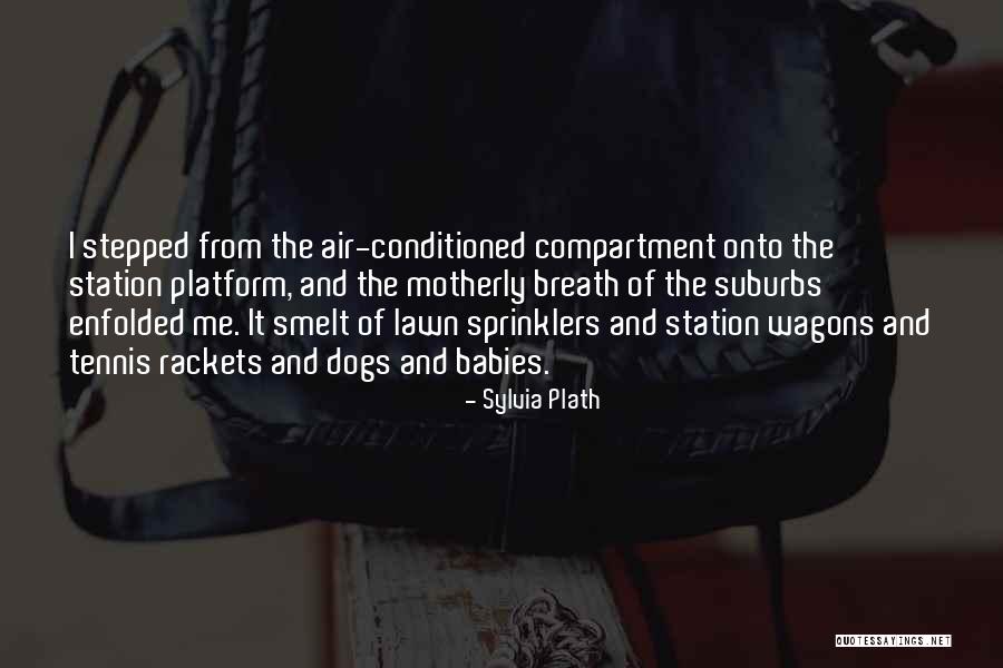 Platform Tennis Quotes By Sylvia Plath