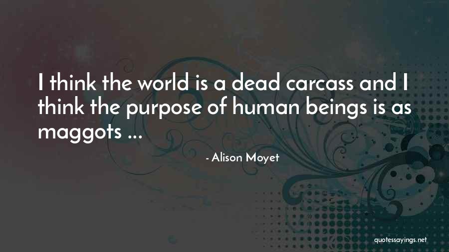 Platinet Quotes By Alison Moyet Platinet Quotes By Alison Moyet
