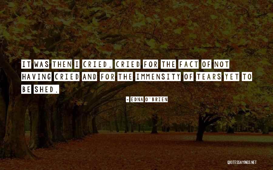 Platino Hosiery Quotes By Edna O'Brien Platino Hosiery Quotes By Edna O'Brien