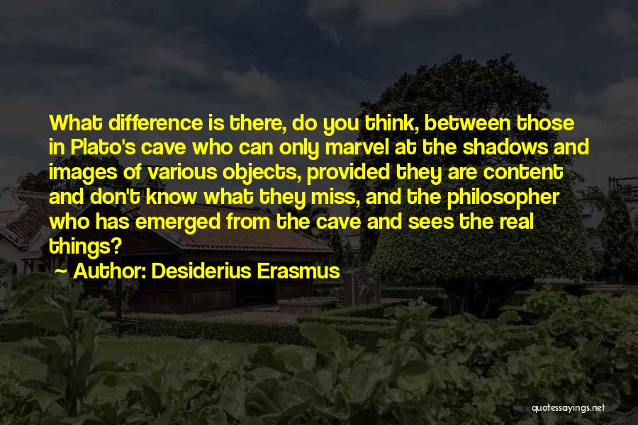 Plato Cave Quotes By Desiderius Erasmus