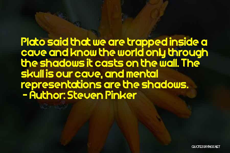 Plato Cave Quotes By Steven Pinker