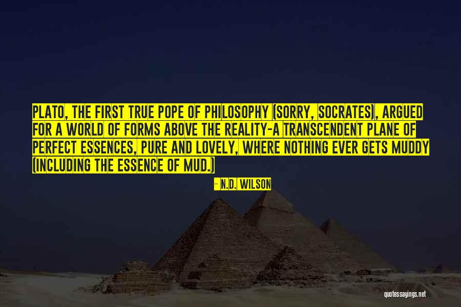 Plato's Forms Quotes By N.D. Wilson Plato's Forms Quotes By N.D. Wilson