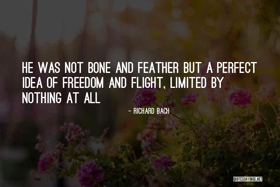Platos Tipicos Quotes By Richard Bach Platos Tipicos Quotes By Richard Bach