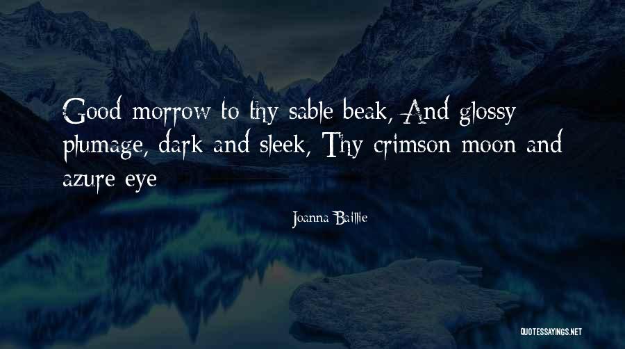 Plattensee Quotes By Joanna Baillie Plattensee Quotes By Joanna Baillie
