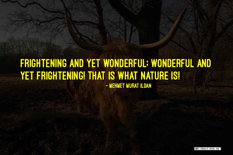 Platypus Shoes Quotes By Mehmet Murat Ildan Platypus Shoes Quotes By Mehmet Murat Ildan