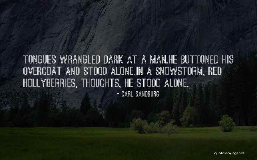 Platza Cinema Quotes By Carl Sandburg Platza Cinema Quotes By Carl Sandburg