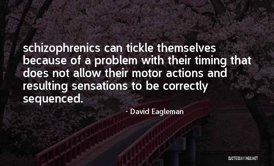 Plauborg Quotes By David Eagleman Plauborg Quotes By David Eagleman
