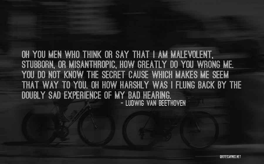Plausibilities Quotes By Ludwig Van Beethoven Plausibilities Quotes By Ludwig Van Beethoven