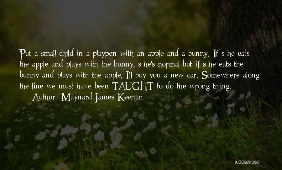 Play Along Quotes By Maynard James Keenan